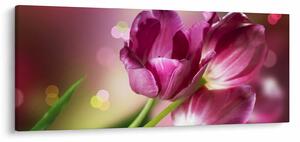 Tablou cu lalele roz (120x50 cm)
