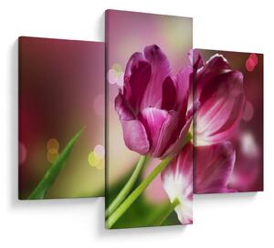 Tablou cu lalele roz (90x60 cm)