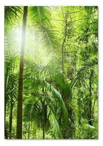 Tablou Printat Pe Sticlă pădurea tropicală