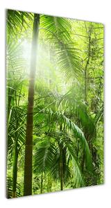 Tablou Printat Pe Sticlă pădurea tropicală