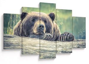 Tablou cu urs (150x105 cm)