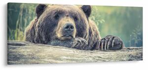 Tablou cu urs (120x50 cm)