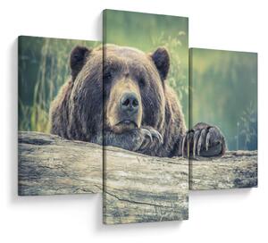 Tablou cu urs (90x60 cm)