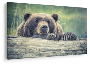 Tablou cu urs (90x60 cm)
