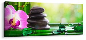 Tablou cu pietre pentru masaj și orhidee (120x50 cm)