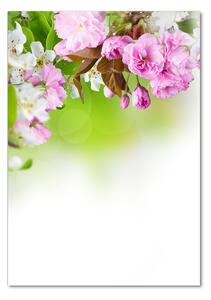 Tablou sticlă Flori de primăvară