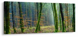 Tablou cu pădure (120x50 cm)