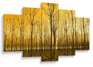 Tablou cu pădure în apus de soare (150x105 cm)