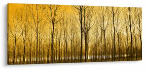 Tablou cu pădure în apus de soare (120x50 cm)
