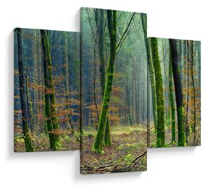 Tablou cu pădure (90x60 cm)