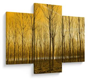 Tablou cu pădure în apus de soare (90x60 cm)