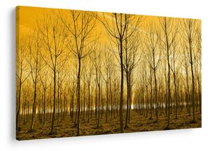 Tablou cu pădure în apus de soare (90x60 cm)