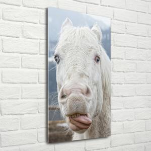 Pictura pe sticlă acrilică Crazy cal alb