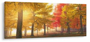 Tablou cu copaci toamna (120x50 cm)