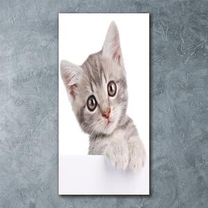 Tablou sticlă acrilică pisică gri