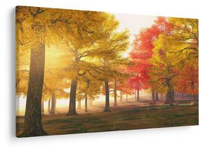 Tablou cu copaci toamna (90x60 cm)