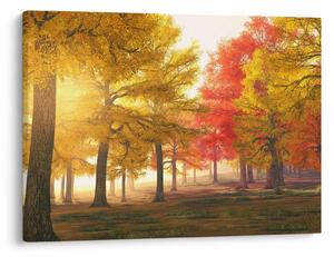 Tablou cu copaci toamna (70x50 cm)