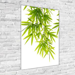 Imagine de sticlă frunze de bambus