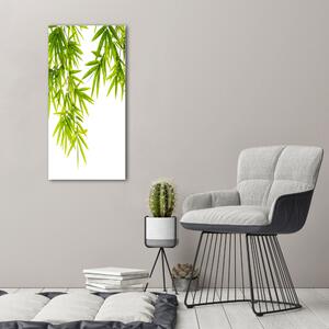 Print pe canvas frunze de bambus