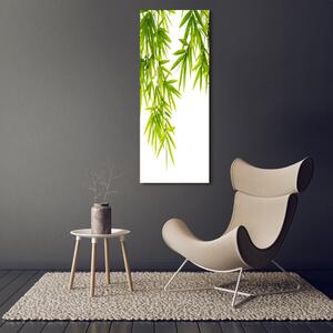 Imagine de sticlă frunze de bambus