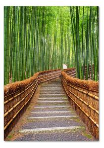 Fotografie imprimată pe sticlă pădure de bambus
