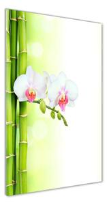 Tablou pe acril Orhidee și bambus