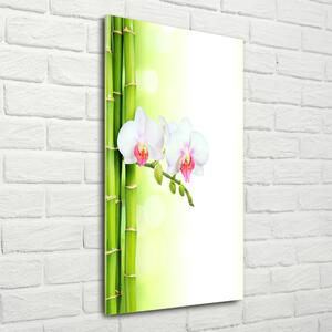 Tablou Printat Pe Sticlă Orhidee și bambus