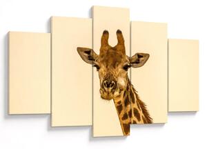 Tablou cu girafe (150x105 cm)