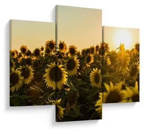 Tablou cu lan de floarea soarelui (90x60 cm)
