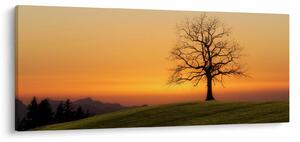 Tablou cu apus de soare pe o luncă (120x50 cm)