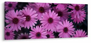 Tablou cu florile roz (120x50 cm)