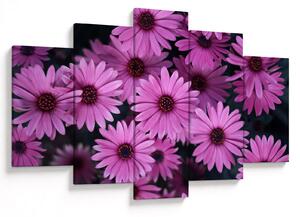 Tablou cu florile roz (150x105 cm)