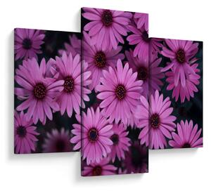 Tablou cu florile roz (90x60 cm)