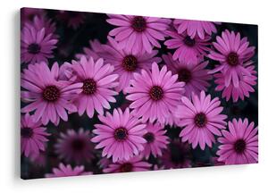 Tablou cu florile roz (90x60 cm)