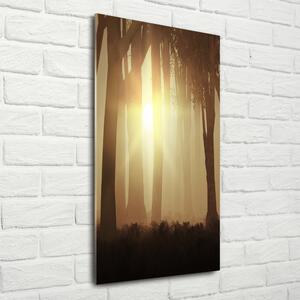 Imagine de sticlă Ceață în pădure