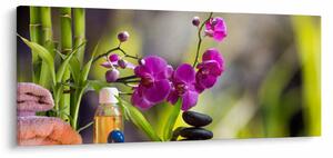 Tablou - spa and stones (120x50 cm)