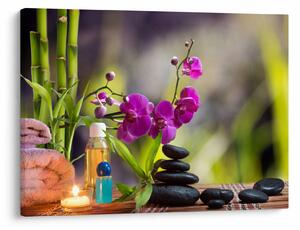 Tablou - spa and stones (70x50 cm)