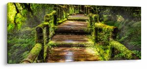 Tablou cu scări într-o pădure tropicală (120x50 cm)