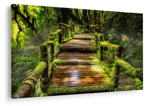 Tablou cu scări într-o pădure tropicală (90x60 cm)