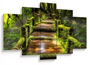 Tablou cu scări într-o pădure tropicală (150x105 cm)
