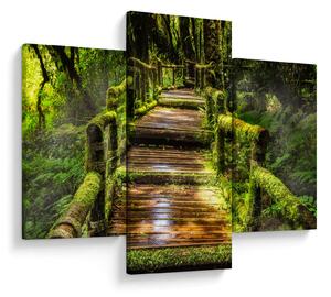 Tablou cu scări într-o pădure tropicală (90x60 cm)