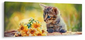 Tablou cu pisicuța uitându-se la floare (120x50 cm)