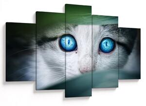 Tablou cu pisica (150x105 cm)