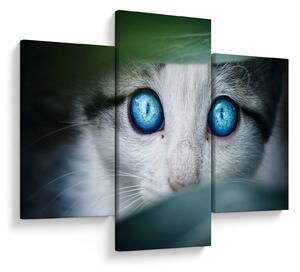 Tablou cu pisica (90x60 cm)
