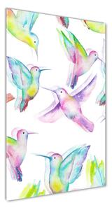 Tablou Printat Pe Sticlă colibri colorate