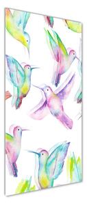 Tablou Printat Pe Sticlă colibri colorate