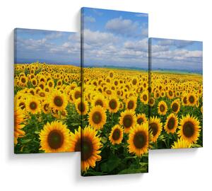 Tablou cu lan de floarea soarelui (90x60 cm)