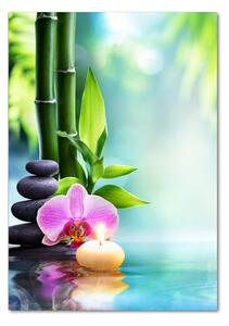 Tablou pe sticlă acrilică Orhidee și bambus