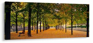 Tablou cu alee cu copaci în toamnă (120x50 cm)