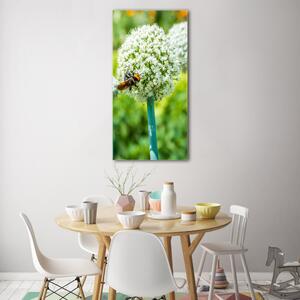 Imagine de sticlă flori de usturoi